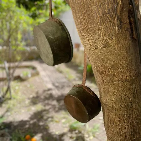 Il Giardino Di Iole Via Giovanni Amendola N36 Alojamento de Acomodação e Pequeno-almoço *
