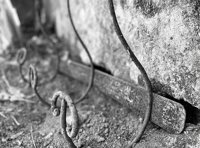 Il Giardino Di Iole Via Giovanni Amendola N36 3* Sassari