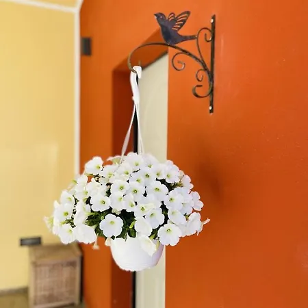 Il Giardino Di Iole Via Giovanni Amendola N36 3* Σάσαρι