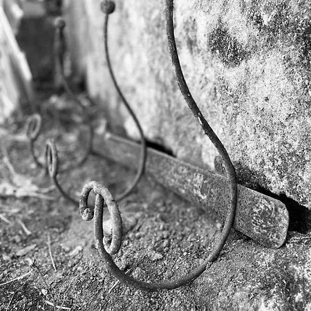 Il Giardino Di Iole Via Giovanni Amendola N36 3* Sassari