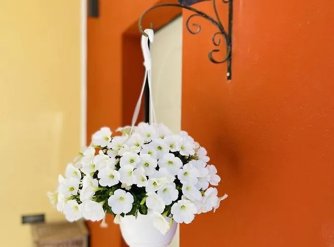 Il Giardino Di Iole Via Giovanni Amendola N36 3* Sassari