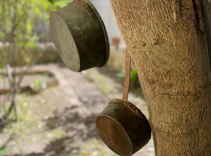 Il Giardino Di Iole Via Giovanni Amendola N36 Oda ve Kahvaltı 3*