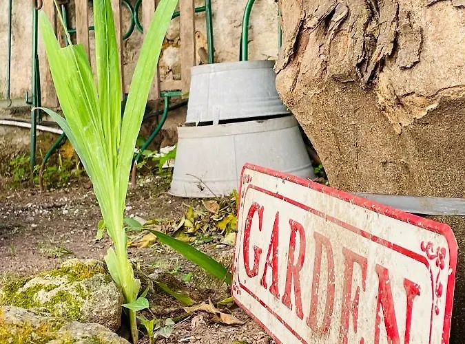 Il Giardino Di Iole Via Giovanni Amendola N36 Oda ve Kahvaltı